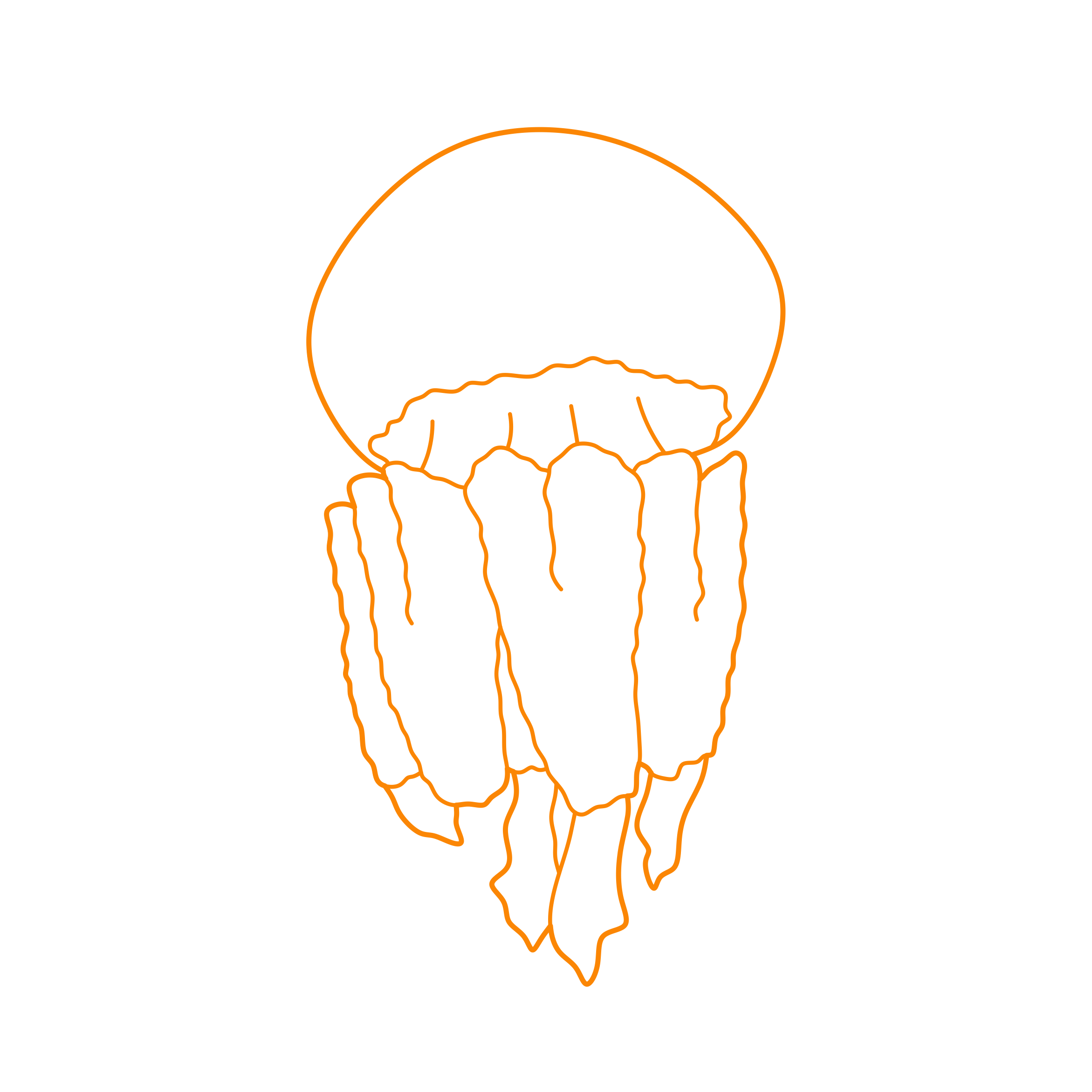 Animals Jellyfish Barrel Jellyfish Line Tracing Svg Vector Free Vectors